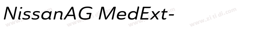 NissanAG MedExt字体转换